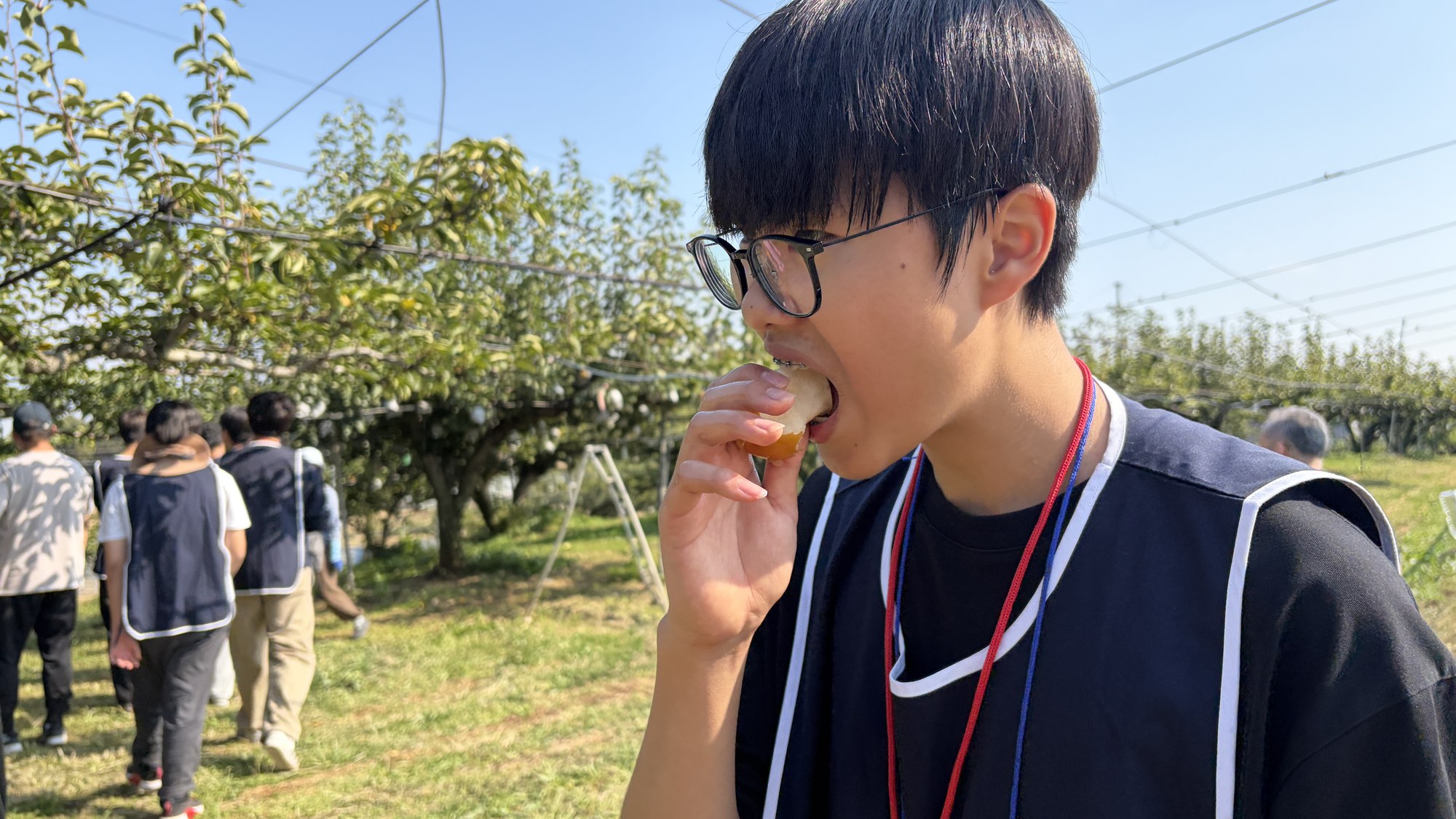 과수원에서 배 한 조각을 맛보는 청소년
